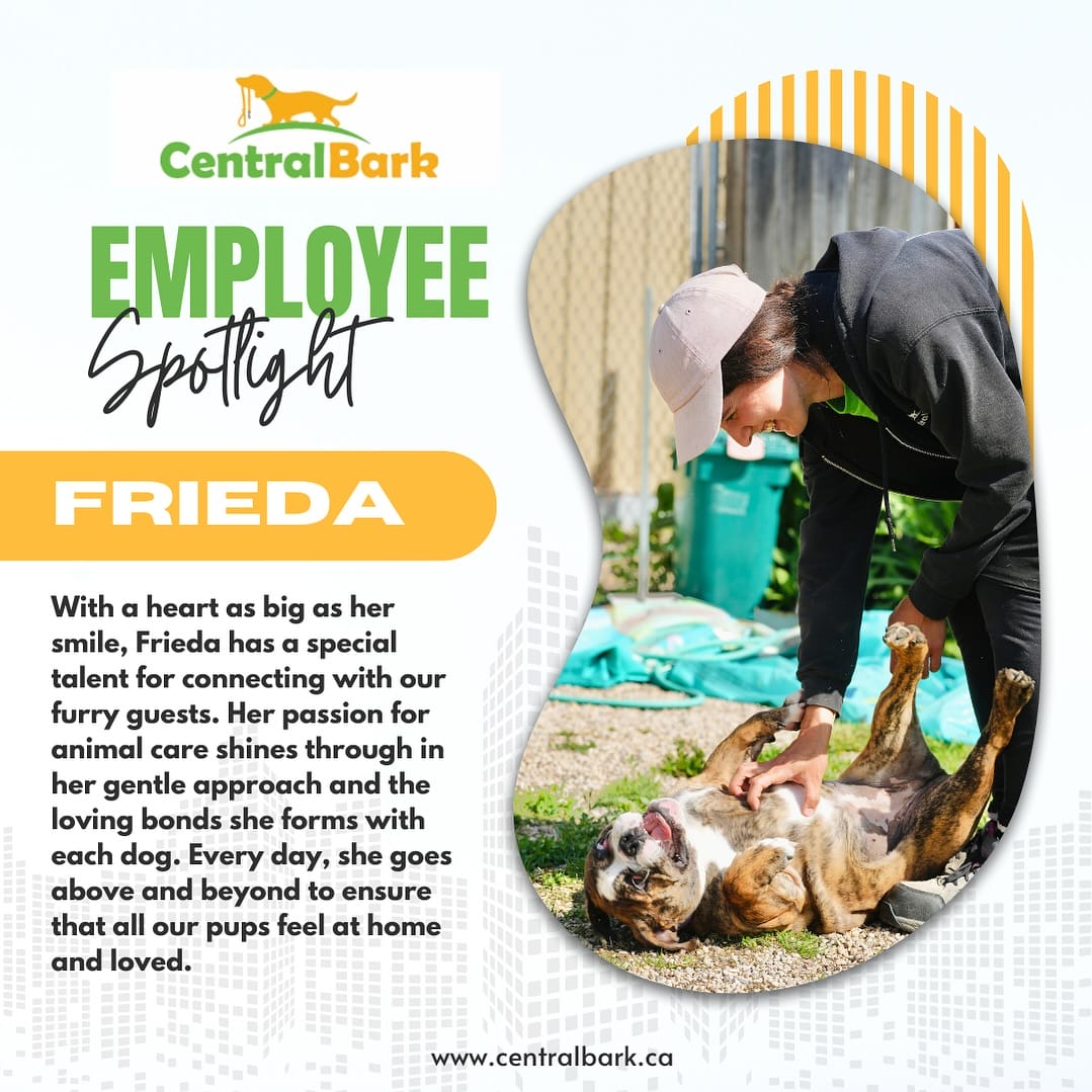 Employees Spotlight