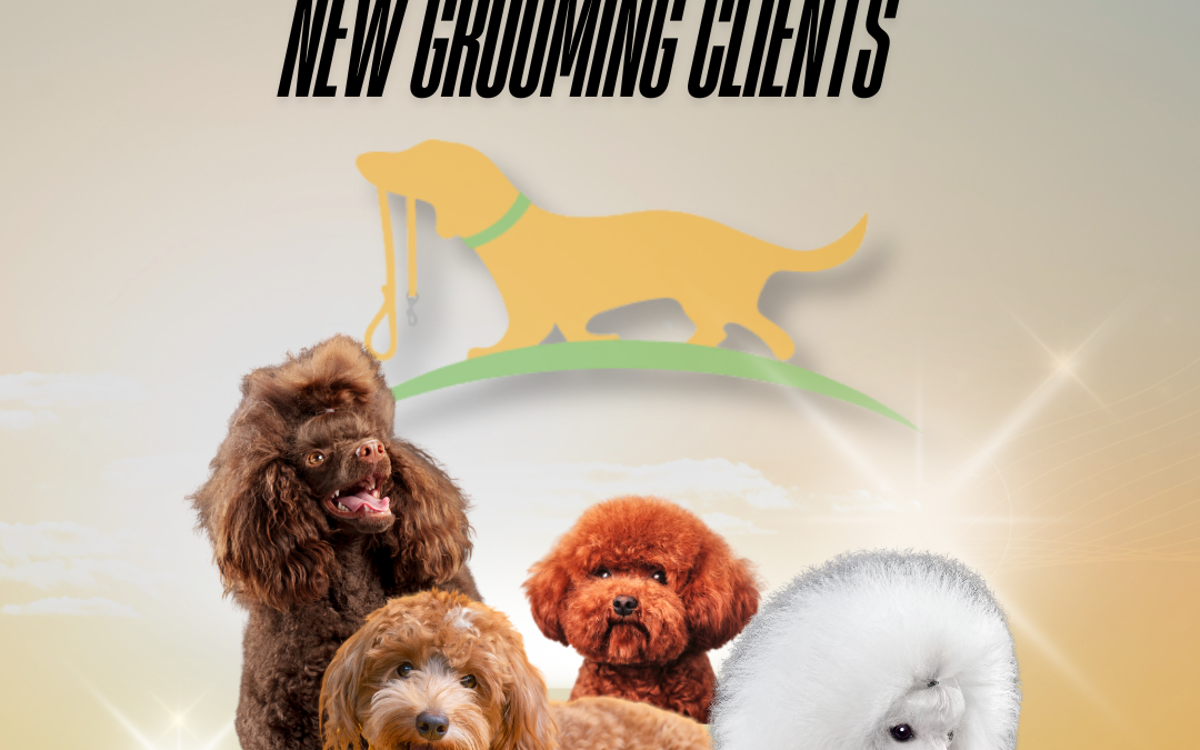 East St Paul Dog Grooming
