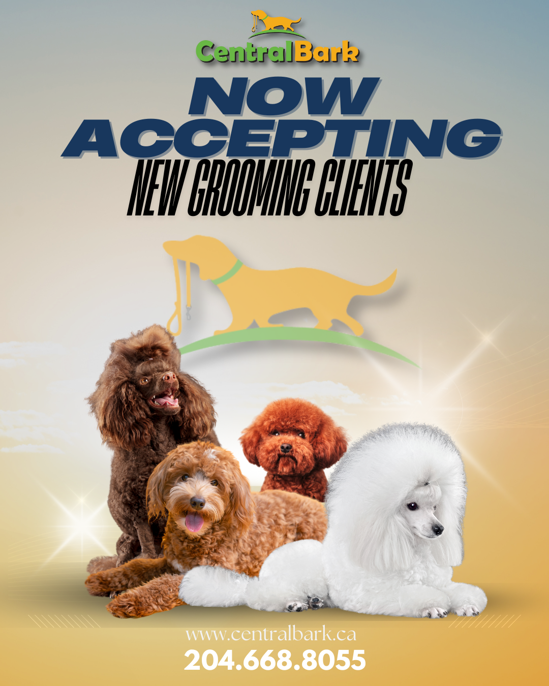 East St Paul Dog Grooming