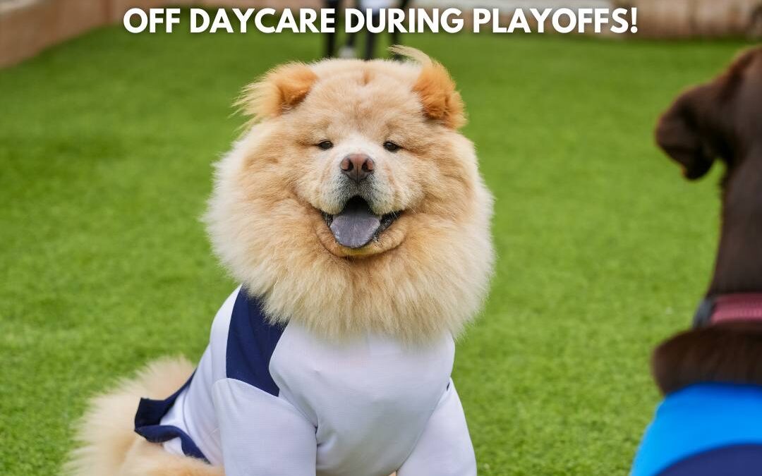 Winnipeg Dog Daycare Playoff Promotion